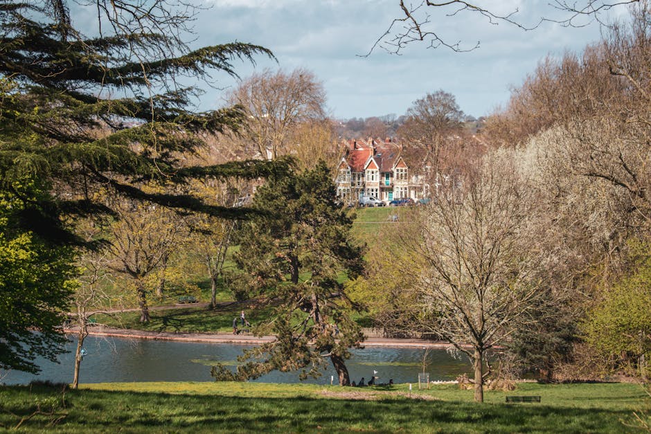 A scenic view of Valentines Park in Ilford, featuring a large pond surrounded by a variety of trees, some with budding leaves and others still bare, indicating early spring. The park's grassy areas are visible in the foreground, with a few park benches and walking paths. In the background, a grand Victorian-style house with red brick walls, multiple gables, and large windows is situated on a hill overlooking the park. The sky is partly cloudy with patches of blue, and a few people can be seen walking along the paths and near the water. The image captures the peaceful environment suitable for a home relocation process, reflecting the natural setting where property removals and furniture transport could take place, with Man with Van Little Ilford providing professional removals services within this area.